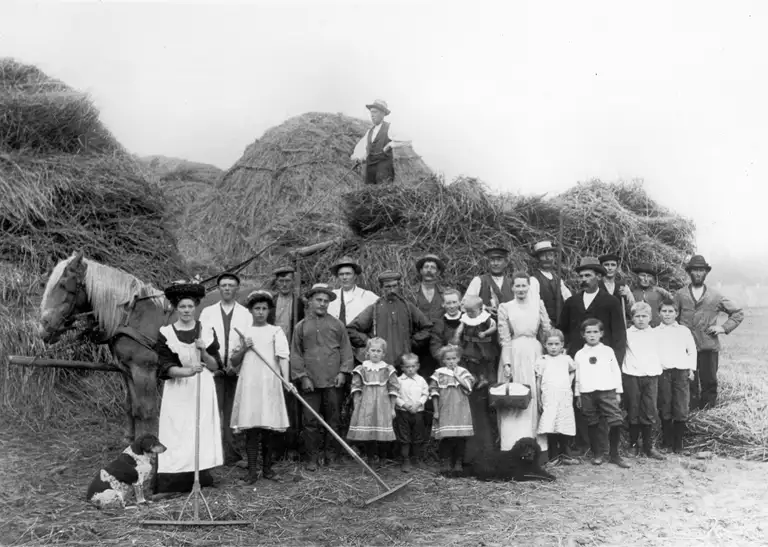 Høst på Vejby præstegård, hvor mange af landsbyens arbejdsdygtige folk er samlet, ca. 1907
